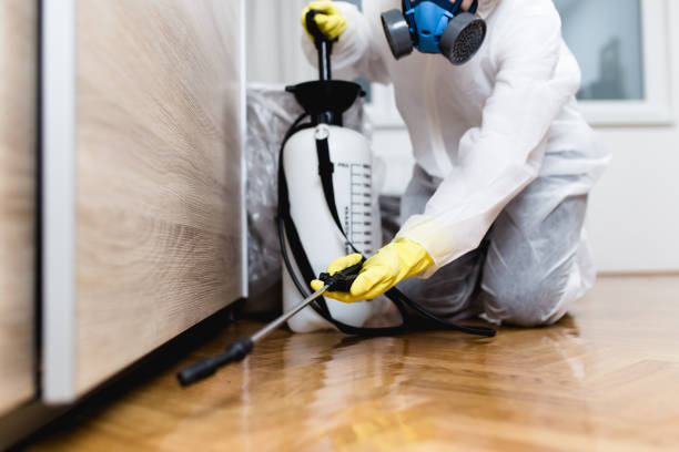 Best Exterminator Services  in Grape Creek, TX