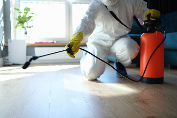Best Flea Control Services  in Grape Creek, TX