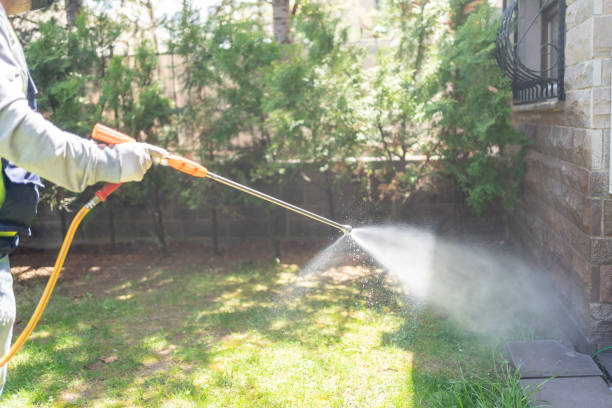 Best Wildlife Control Services  in Grape Creek, TX