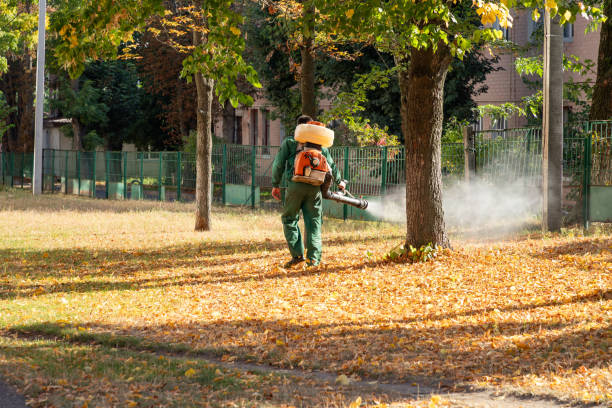 Best Residential Pest Control  in Grape Creek, TX