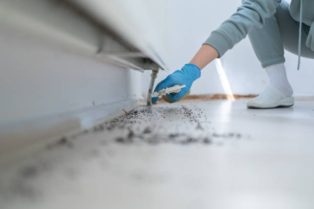 Pest Control Cost in Grape Creek, TX