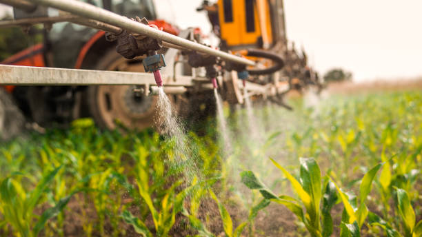 Professional Pest Control in Grape Creek, TX