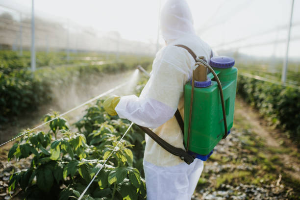 Flea Control Services in Grape Creek, TX